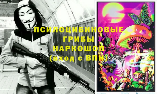 а пвп мука Ладушкин