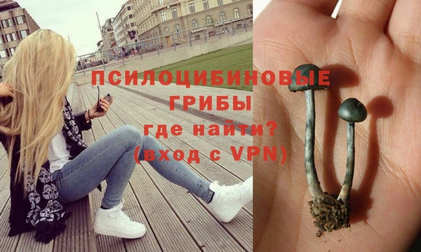 MDMA Куйбышев