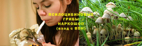 сатива Костерёво