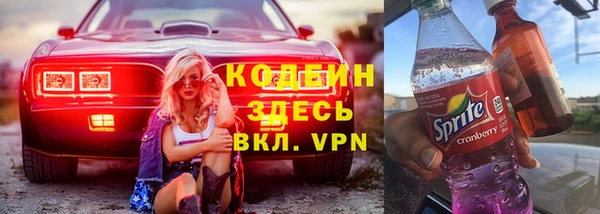 крисы Лагань