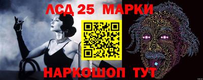 дживик Кимры