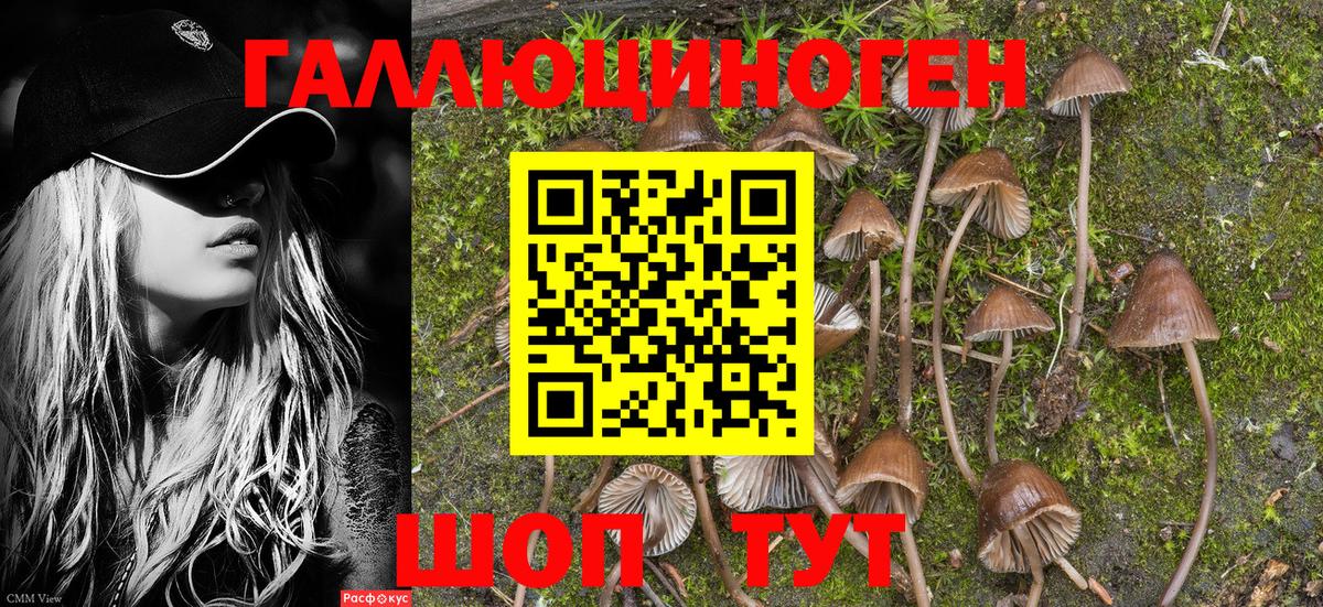 Галлюциногенные грибы мухоморы  Вход с VPN  Урай 